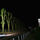 Image for article titled After 1989, Chicanes Changed Le Mans Forever